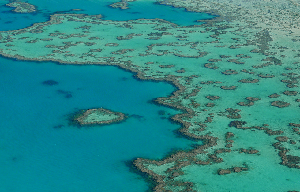 Scenic Flight Heart Reef
